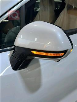 بي واي دي كوين L DM-i